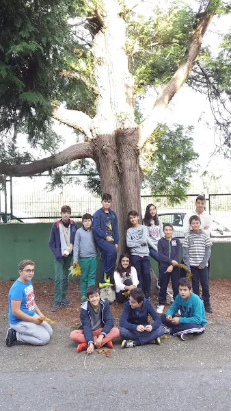 CPI CURROS ENRIQUEZ - Pontevedra