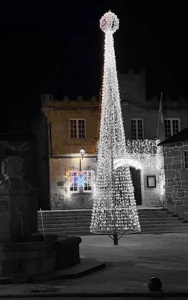 Ayuntamiento de Rodeiro - Rodeiro