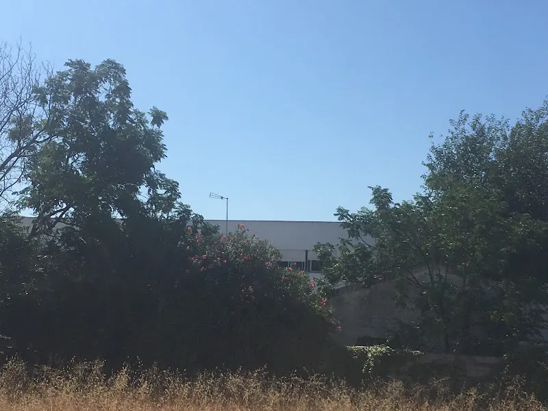 Colegio Público Pío XII - Carrion de los Cespedes