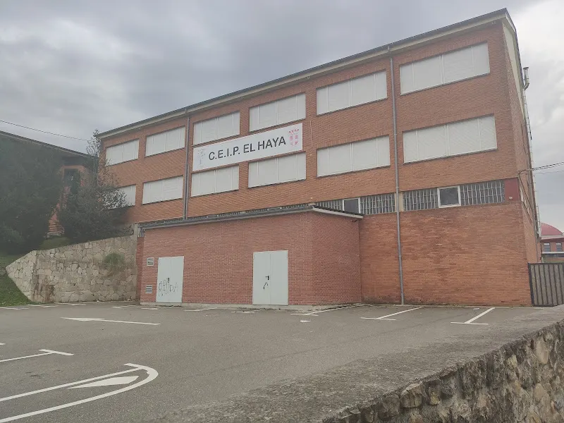 CEIP El Haya - Colegio público en Castaneda - foto 2