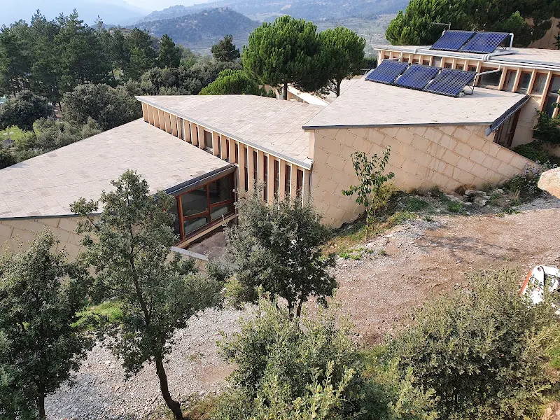 Colegio Público La Morería - Colegio público en Coves de Vinroma (les) - foto 3