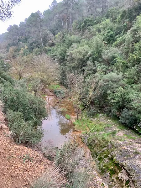 Escola Torrescasana