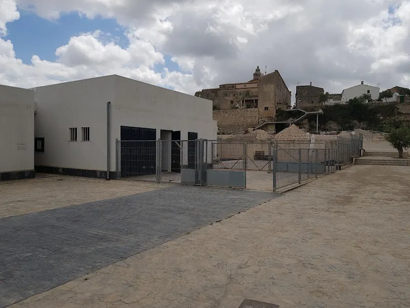 Col·legi Públic d'Educación Infantil i Primària Antònia Alzina