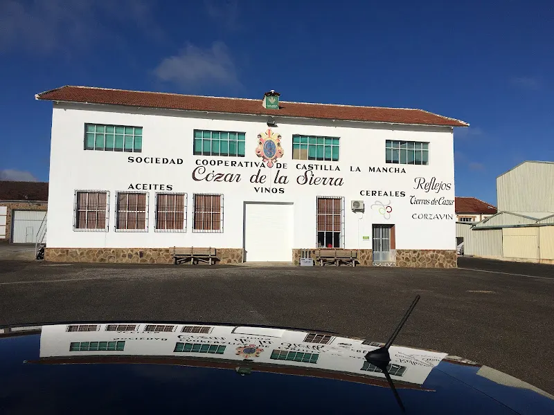 C.E.I.P. "Santísimo Cristo de la Veracruz" - Colegio público en Cozar - foto 2