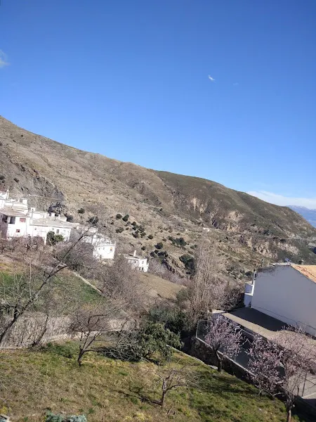 Colegio Público las Acequias