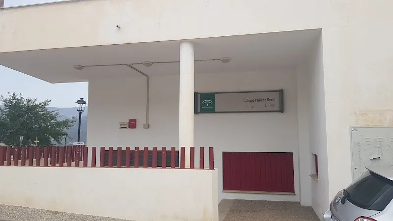 Colegio Público Rural El Pinar - Colegio público en Lecrin - foto 2