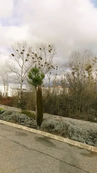 Colegio Público Santiago Apóstol - Villadangos del Paramo