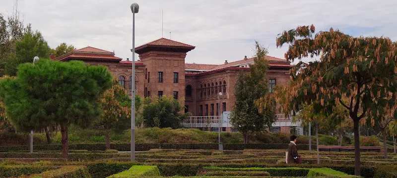 CEIP Concepción Arenal - Colegio público en Madrid - foto 3