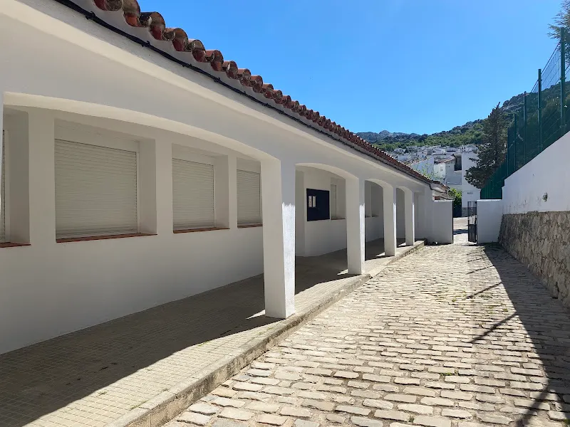 Colegio Público Virgen de la Concepción - Colegio público en Montejaque - foto 3