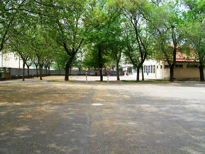 Colegio Público Nicasio de Landa - Colegio público en Pamplona - foto 2