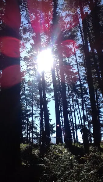 Olaberriko herri eskola