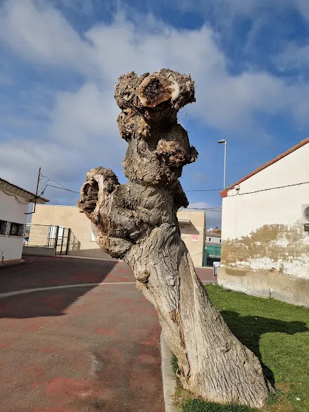 Colegio Público Arco Iris - Monzón