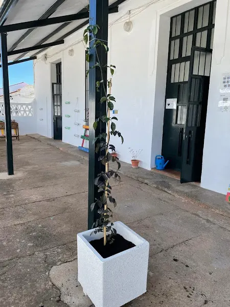 Colegio Público Adersa 6 - Colegio público en Campofrio - foto 3