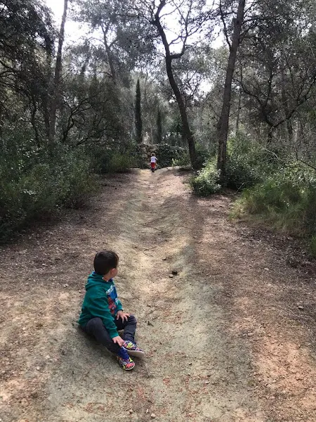 La Comella Montessori Forest School - Centro educativo en Tarragona - foto 2