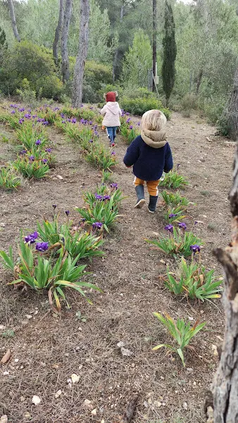 Associació Escola del Bosc La Comella / El Niu de la Comella - Centro educativo en Tarragona - foto 2