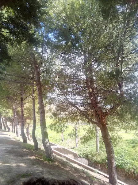 CEIP Maximina Felisa Gómez Aguero - Colegio público en Rielves - foto 2