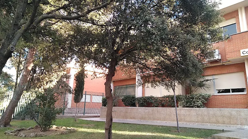 Colegio Público Don Rodrigo - Colegio público en Alcoba - foto 3