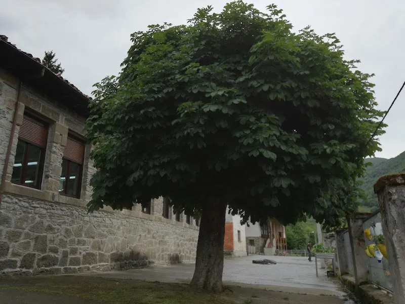 Escuelas De Beleño. CRA Picos De Europa - Ponga