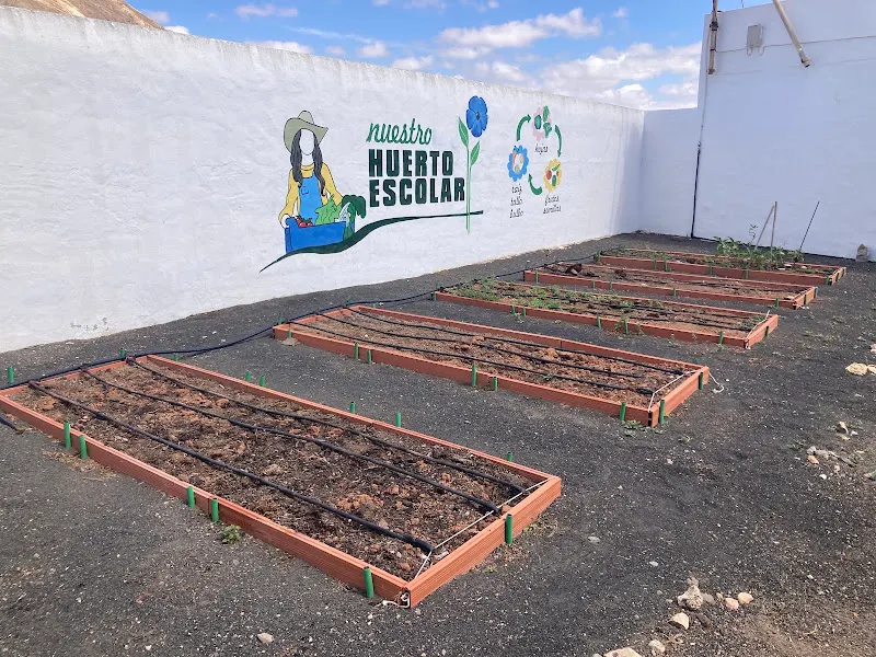 Colegio Público Ampuyenta - Colegio público en Antigua - foto 2