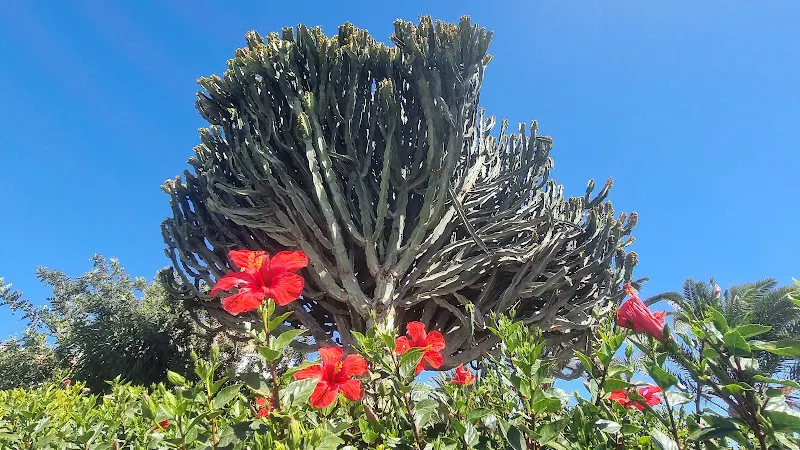 CEIP Valles de Ortega - Antigua
