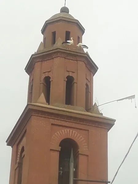CEIP Miguel de Cervantes - Cazalegas