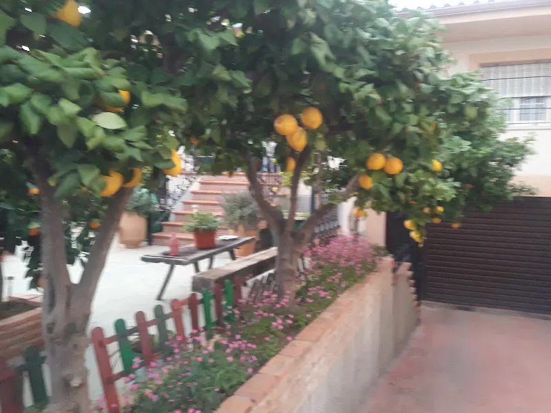 CEIP Miguel de Cervantes - Colegio público en Cazalegas - foto 2