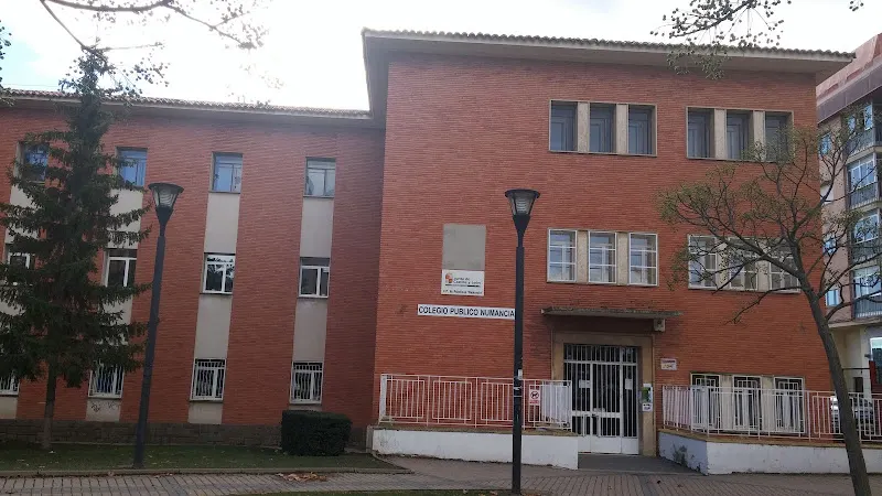 Colegio Público Tierras Altas - Colegio público en San Pedro Manrique - foto 3