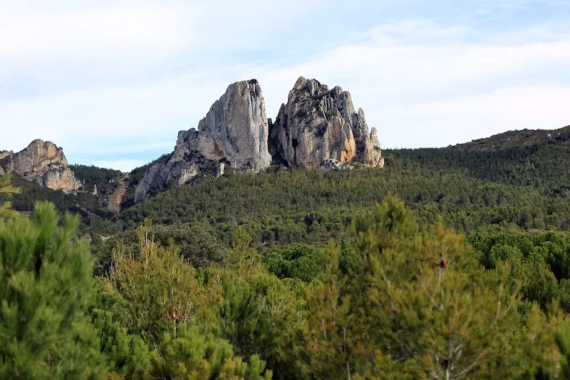 Colegio Público Valle Oja Tirón - Colegio público en Castanares de Rioja - foto 2