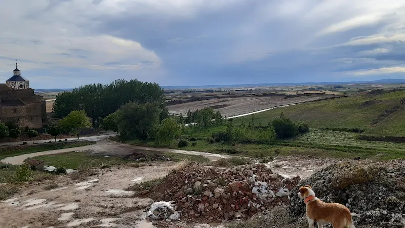 Colegio Público Campos de Gómara - Colegio público en Gomara - foto 2
