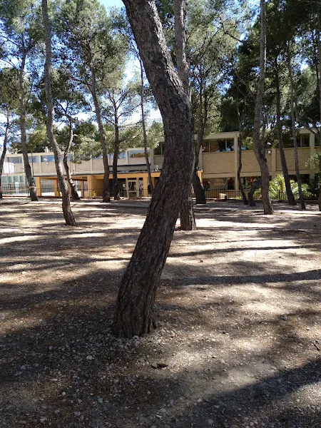 CEIP Domingo Miral