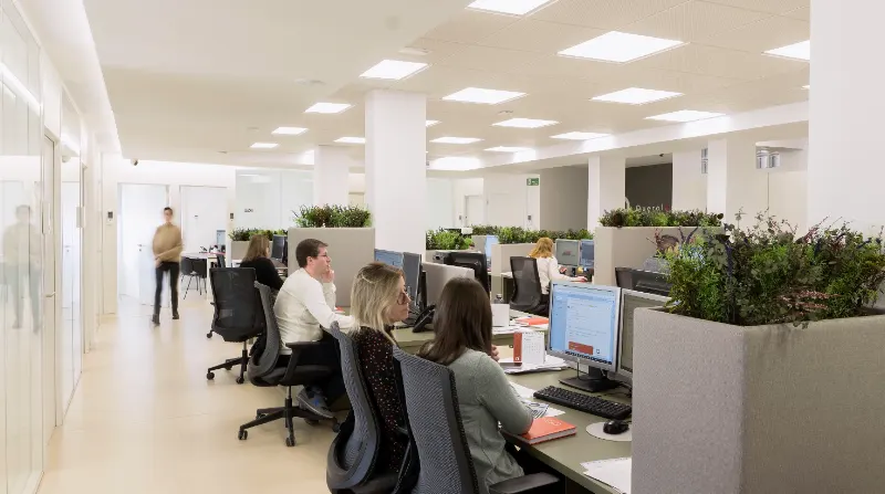 CRA els Ports (Forcall) - Forcall