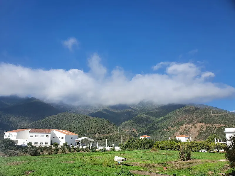 Colegio Serrania - Colegio público en Benalauria - foto 2