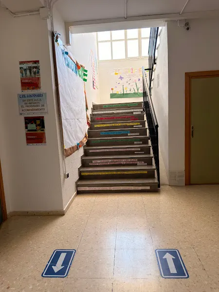 Colegio Público Rural Los Pinares de Castillo de Tajarja - Chimeneas