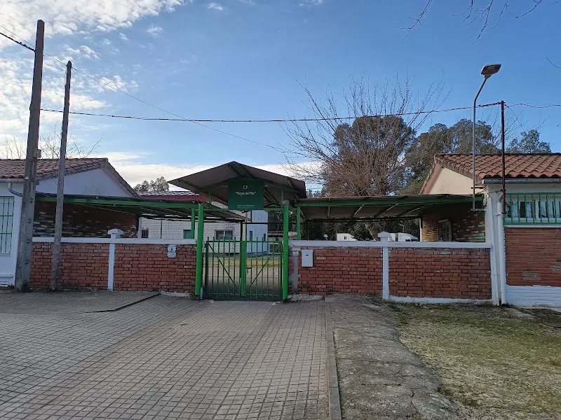 Colegio Público Virgen Del Pilar - Colegio público en Talayuela - foto 2