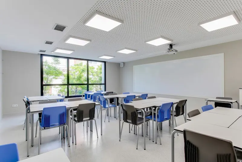 Colegio Camí