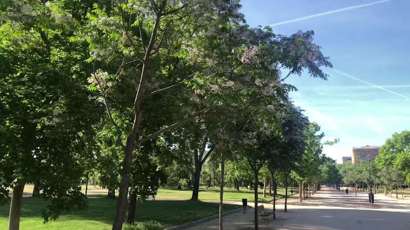 CEIP Pradolongo - Madrid