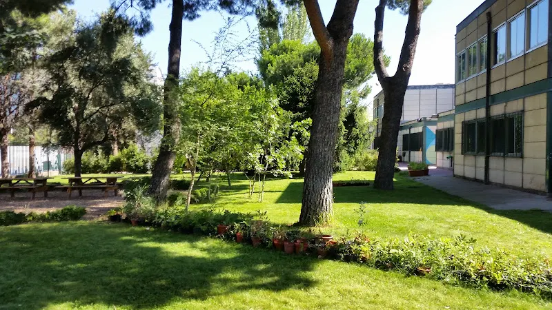 CEIP Gloria Fuertes - Colegio público en Madrid - foto 2