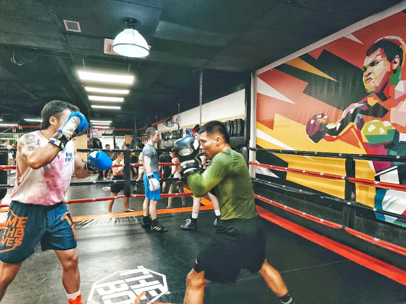 The Box Fit and Fight Club - Madrid