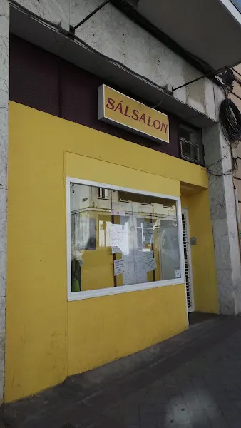 Salsalón Artes Escénicas