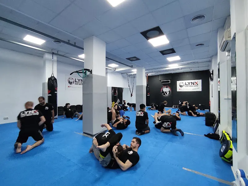 LYNX KRAV MAGA - Madrid