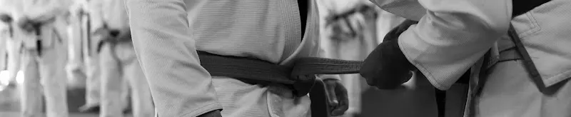 Escuela de Jiu Jitsu y grappling Argüelles Madrid - Escuela de Jiu-jitsu en Madrid - foto 2