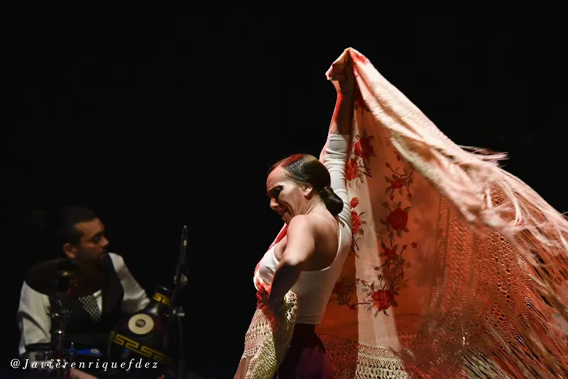 CLASES DE FLAMENCO EN MADRID ESCUELA DE AMELIA VEGA - Madrid