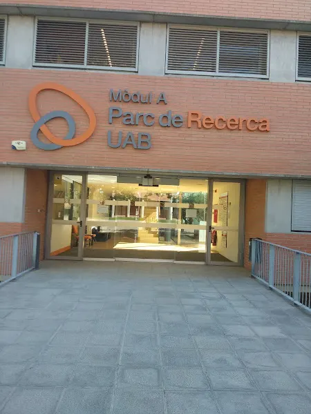 Colegio Coreano de Barcelona | 바르셀로나 한글학교 - Centro educativo en Barcelona - foto 3