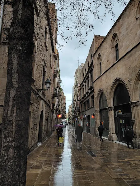 Camins. Fundació Social Escola Pia
