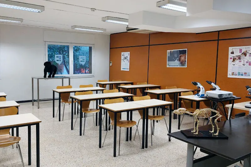 EOC Barcelona | Escola d'Oficis Catalunya S.L. - Barcelona