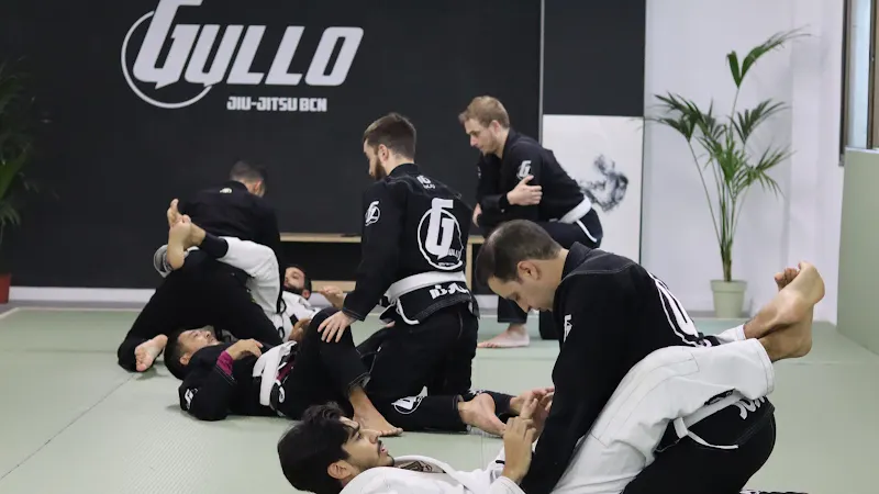 Entrenamiento - Escuela de Jiu-jitsu en Barcelona - foto 2