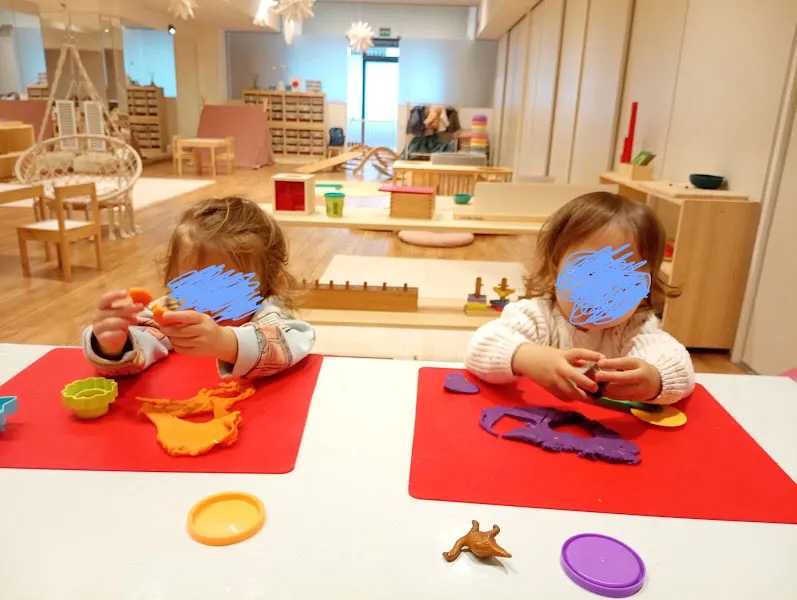 Bunga Montessori