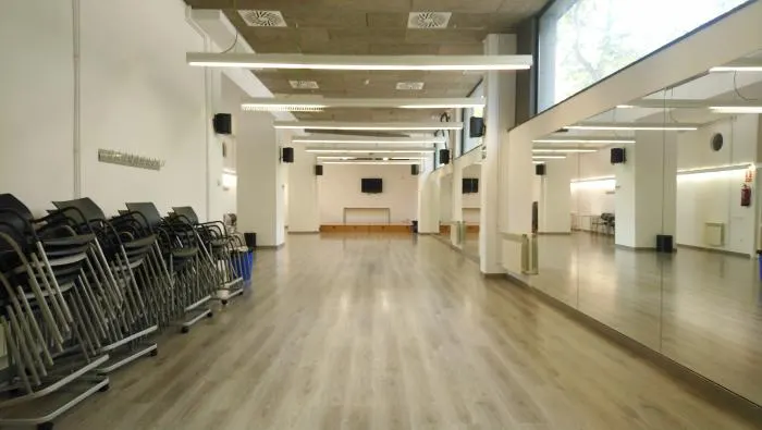 Institut Flamenco - Barcelona
