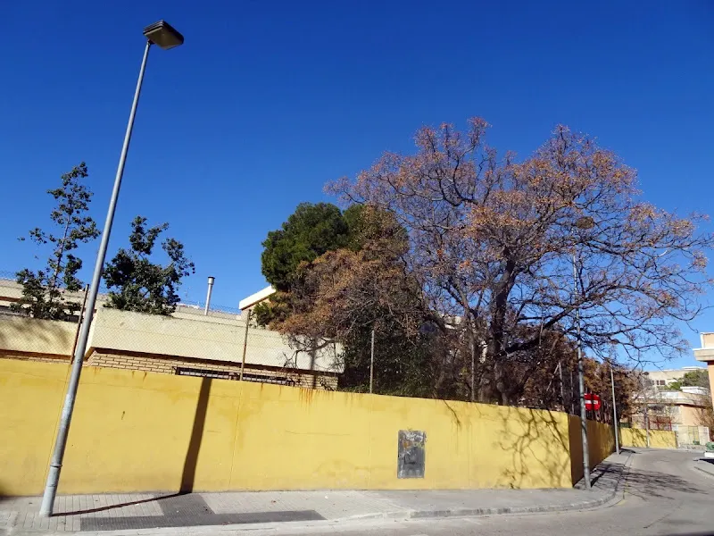 CEIP Nuestra Señora del Carmen - Colegio público en Valencia - foto 2