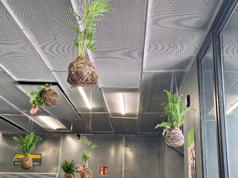 Ginkgo Educación